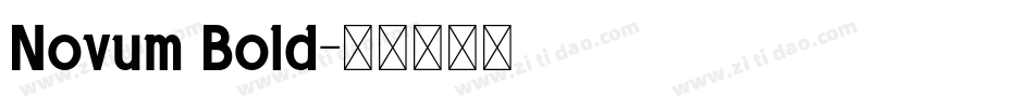 Novum Bold字体转换